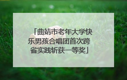 曲靖市老年大学快乐男孩合唱团首次跨省实践斩获一等奖