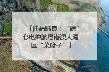 曲靖陆良：“蔬”心电护航粤港澳大湾区“菜篮子”