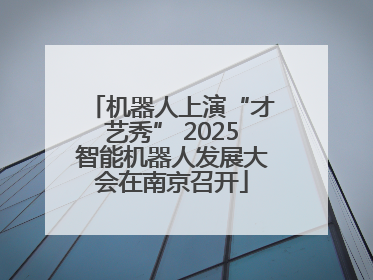 机器人上演“才艺秀” 2025智能机器人发展大会在南京召开