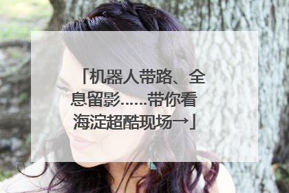 机器人带路、全息留影……带你看海淀超酷现场→