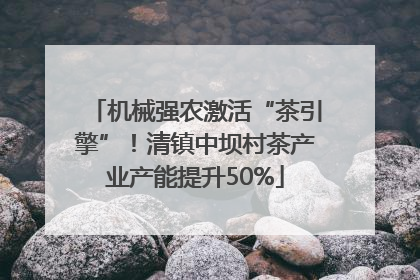 机械强农激活“茶引擎”！清镇中坝村茶产业产能提升50%