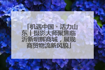 机遇中国・活力山东丨摄影大师聚焦临沂新明辉商城，展现商贸物流新风貌