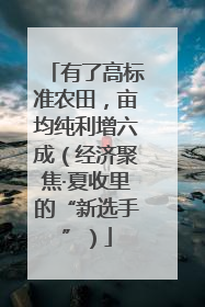 有了高标准农田，亩均纯利增六成（经济聚焦·夏收里的“新选手”）