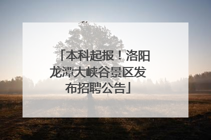 本科起报！洛阳龙潭大峡谷景区发布招聘公告