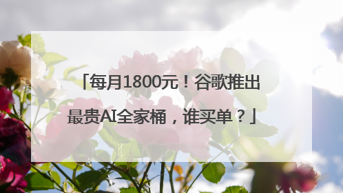 每月1800元！谷歌推出最贵AI全家桶，谁买单？