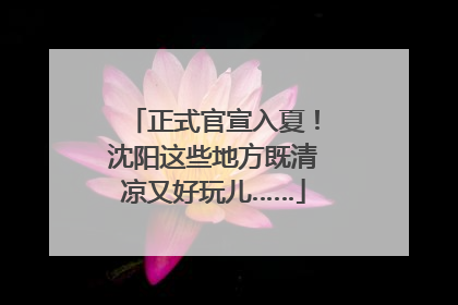 正式官宣入夏！沈阳这些地方既清凉又好玩儿……