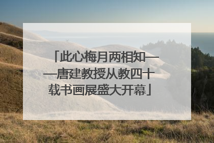 此心梅月两相知——唐建教授从教四十载书画展盛大开幕