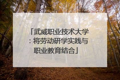 武威职业技术大学：将劳动研学实践与职业教育结合