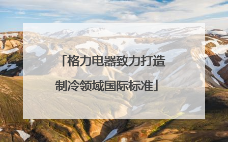 格力电器致力打造制冷领域国际标准