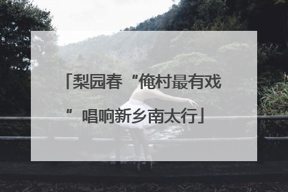 梨园春“俺村最有戏”唱响新乡南太行
