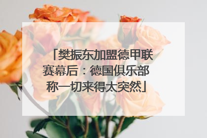 樊振东加盟德甲联赛幕后：德国俱乐部称一切来得太突然