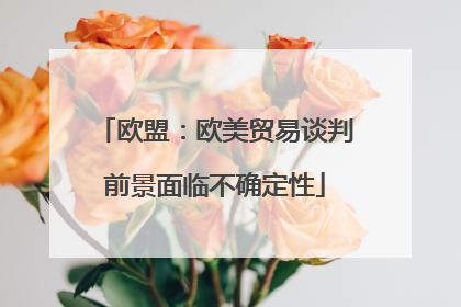 欧盟：欧美贸易谈判前景面临不确定性