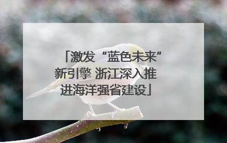 激发“蓝色未来”新引擎 浙江深入推进海洋强省建设