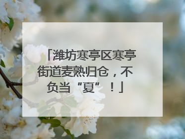 潍坊寒亭区寒亭街道麦熟归仓，不负当“夏”！