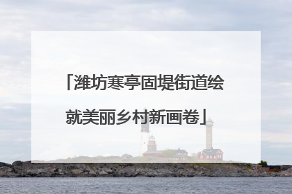 潍坊寒亭固堤街道绘就美丽乡村新画卷