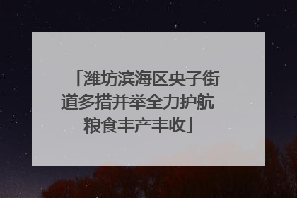 潍坊滨海区央子街道多措并举全力护航粮食丰产丰收