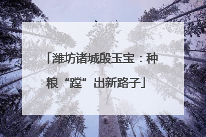 潍坊诸城殷玉宝：种粮“蹚”出新路子