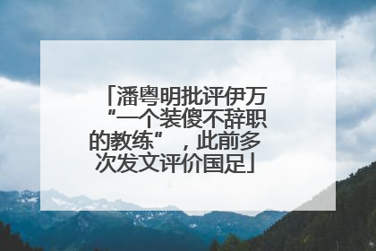 潘粤明批评伊万“一个装傻不辞职的教练”，此前多次发文评价国足