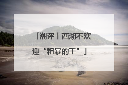 潮评丨西湖不欢迎“粗暴的手”