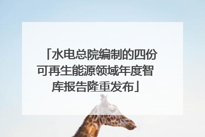 水电总院编制的四份可再生能源领域年度智库报告隆重发布