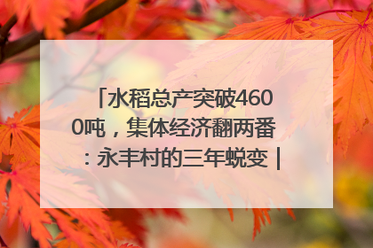 水稻总产突破4600吨，集体经济翻两番：永丰村的三年蜕变｜您牵挂的四川