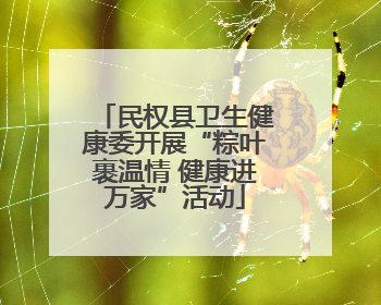 民权县卫生健康委开展“粽叶裹温情 健康进万家”活动