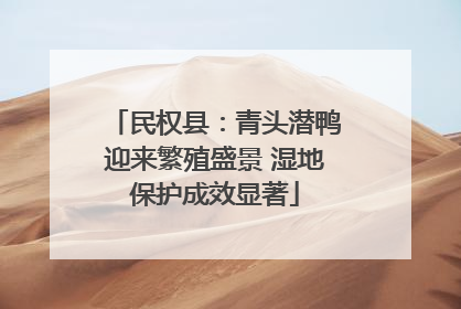 民权县：青头潜鸭迎来繁殖盛景 湿地保护成效显著