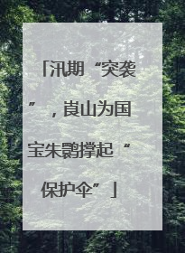 汛期“突袭”，崀山为国宝朱鹮撑起“保护伞”