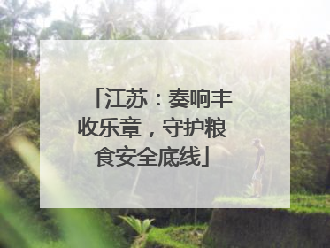 江苏：奏响丰收乐章，守护粮食安全底线