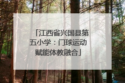 江西省兴国县第五小学：门球运动赋能体教融合