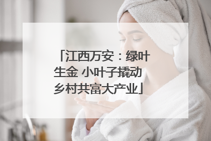 江西万安：绿叶生金 小叶子撬动乡村共富大产业