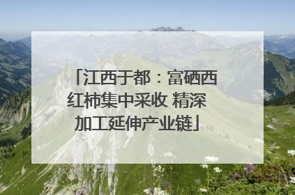 江西于都：富硒西红柿集中采收 精深加工延伸产业链