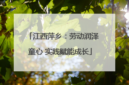 江西萍乡：劳动润泽童心 实践赋能成长
