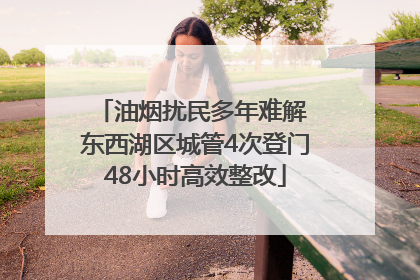 油烟扰民多年难解 东西湖区城管4次登门48小时高效整改