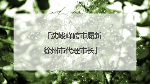 沈峻峰跨市履新徐州市代理市长
