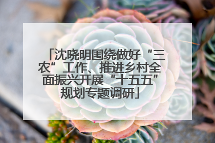 沈晓明围绕做好“三农”工作、推进乡村全面振兴开展“十五五”规划专题调研