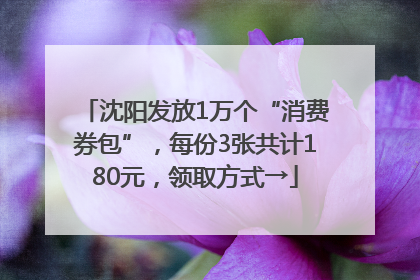沈阳发放1万个“消费券包”，每份3张共计180元，领取方式→