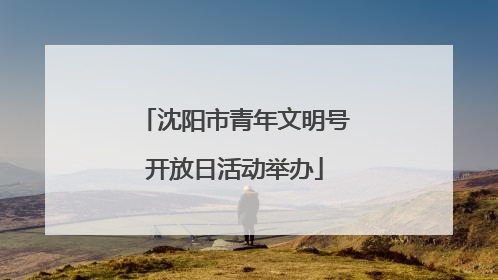 沈阳市青年文明号开放日活动举办