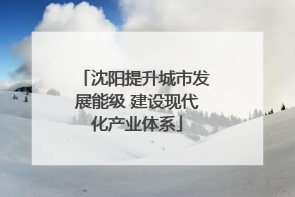 沈阳提升城市发展能级 建设现代化产业体系