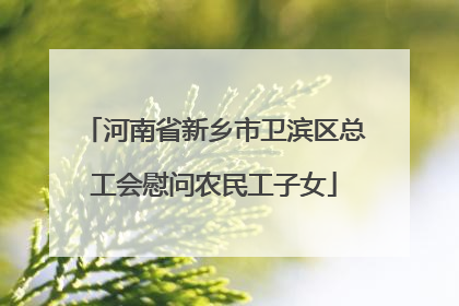 河南省新乡市卫滨区总工会慰问农民工子女