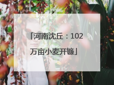 河南沈丘：102 万亩小麦开镰