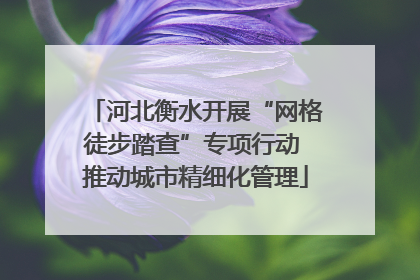 河北衡水开展“网格徒步踏查”专项行动 推动城市精细化管理