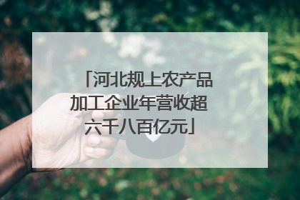 河北规上农产品加工企业年营收超六千八百亿元