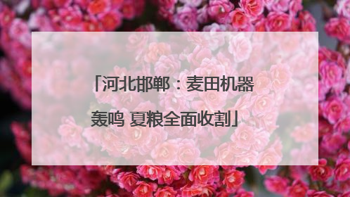 河北邯郸：麦田机器轰鸣 夏粮全面收割