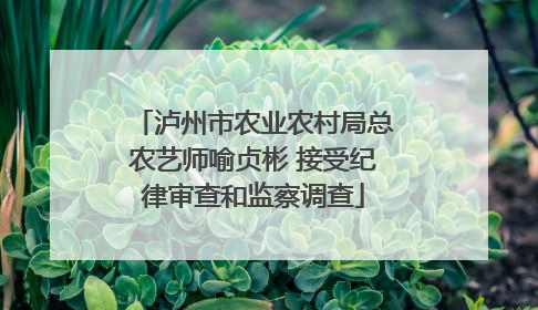 泸州市农业农村局总农艺师喻贞彬 接受纪律审查和监察调查
