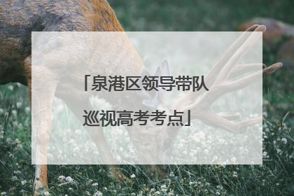 泉港区领导带队巡视高考考点