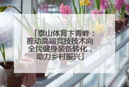 泰山体育卞青峰：推动高端竞技技术向全民健身装备转化，助力乡村振兴