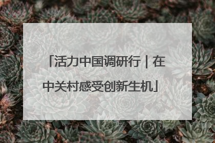 活力中国调研行｜在中关村感受创新生机