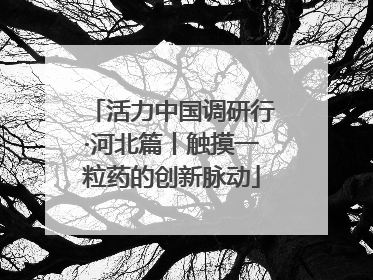 活力中国调研行·河北篇丨触摸一粒药的创新脉动