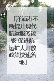 洋浦港不断提升现代航运服务能级 促进航运扩大开放政策快速落地